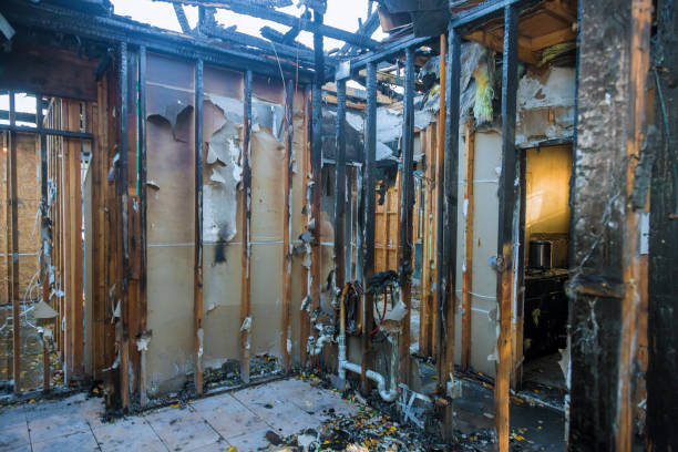 Professional Smoke Damage Removal technician working in Douglass Hills, KY